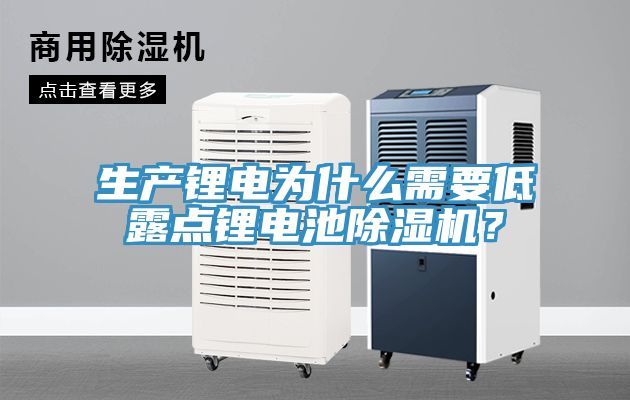 生產(chǎn)鋰電為什么需要低露點(diǎn)鋰電池除濕機(jī)？