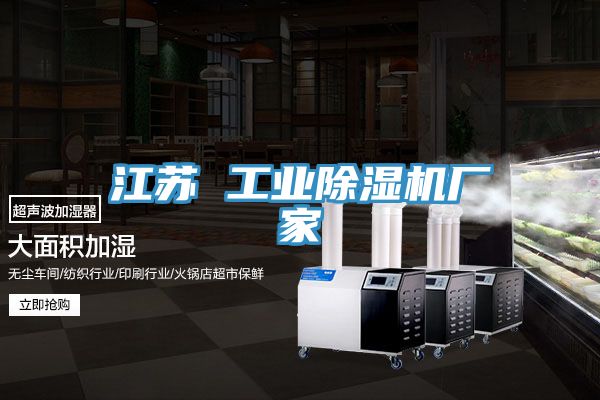 江蘇 工業(yè)除濕機(jī)廠(chǎng)家