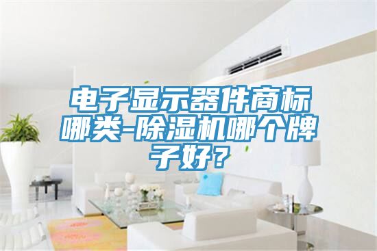 電子顯示器件商標(biāo)哪類-除濕機(jī)哪個(gè)牌子好？