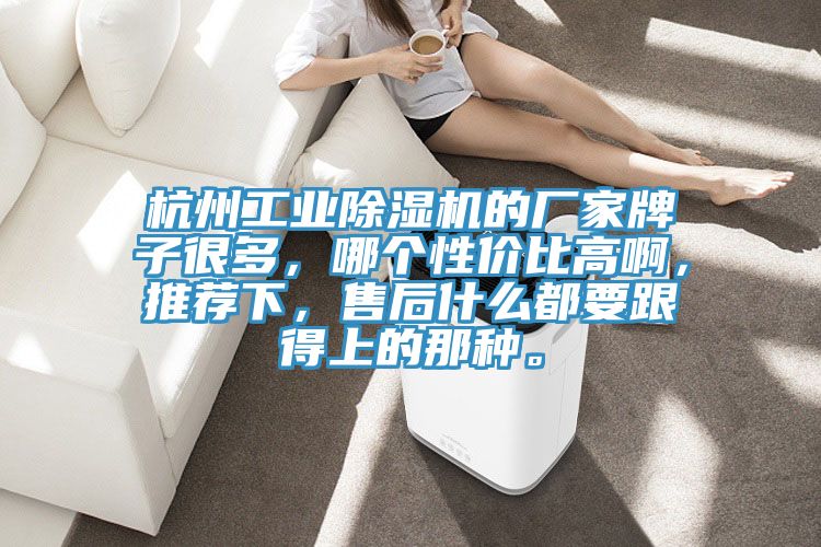 杭州工業(yè)除濕機(jī)的廠家牌子很多，哪個(gè)性價(jià)比高啊，推薦下，售后什么都要跟得上的那種。