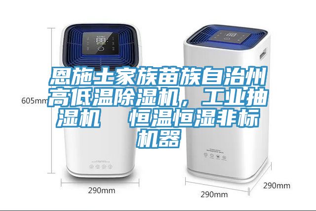 恩施土家族苗族自治州高低溫除濕機，工業(yè)抽濕機  恒溫恒濕非標(biāo)機器
