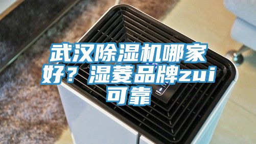 武漢除濕機哪家好？濕菱品牌zui可靠
