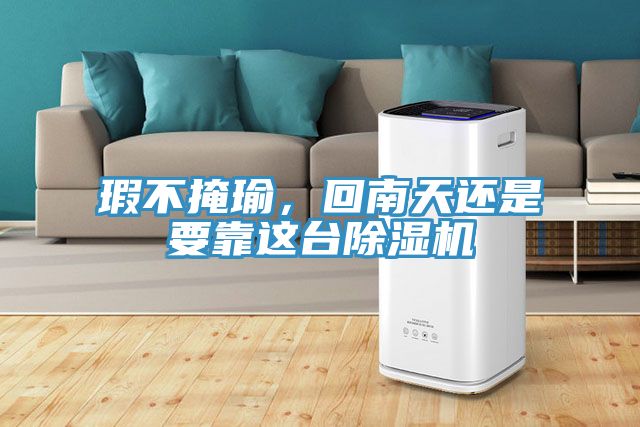瑕不掩瑜，回南天還是要靠這臺除濕機(jī)