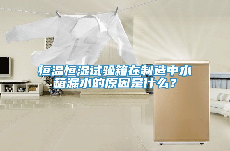 恒溫恒濕試驗(yàn)箱在制造中水箱漏水的原因是什么？