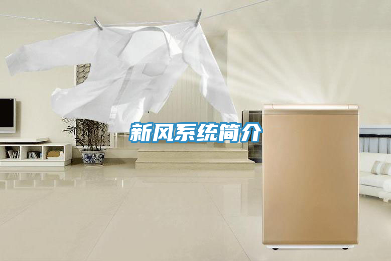 新風(fēng)系統(tǒng)簡(jiǎn)介