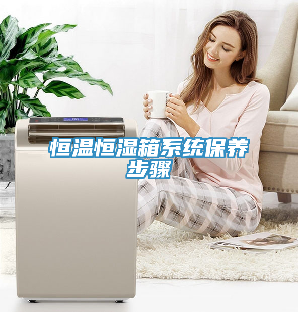恒溫恒濕箱系統保養(yǎng)步驟