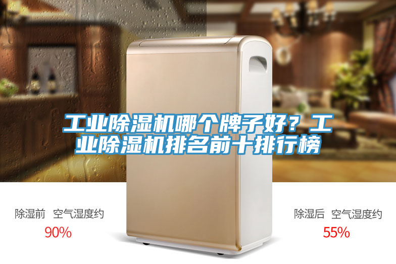 工業(yè)除濕機(jī)哪個牌子好？工業(yè)除濕機(jī)排名前十排行榜