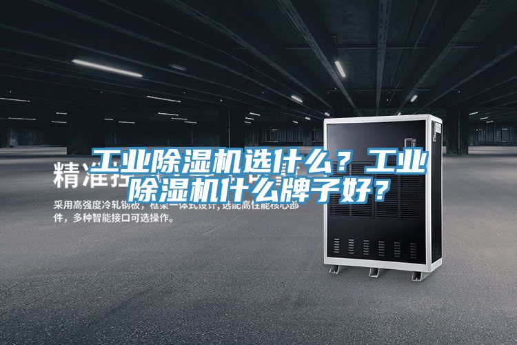 工業(yè)除濕機(jī)選什么？工業(yè)除濕機(jī)什么牌子好？