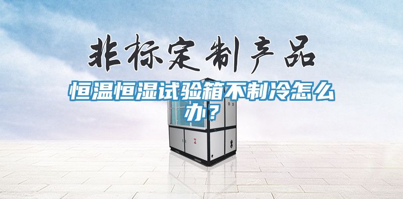 恒溫恒濕試驗(yàn)箱不制冷怎么辦？