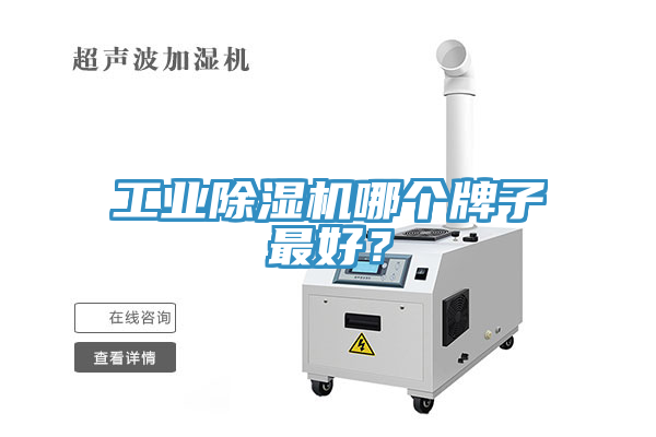 工業(yè)除濕機(jī)哪個牌子最好？