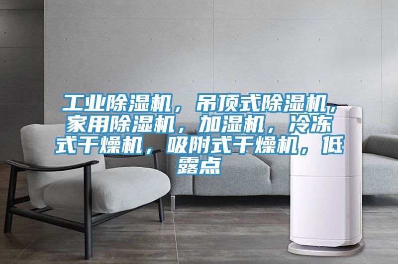 工業(yè)除濕機(jī)，吊頂式除濕機(jī)，家用除濕機(jī)，加濕機(jī)，冷凍式干燥機(jī)，吸附式干燥機(jī)，低露點(diǎn)
