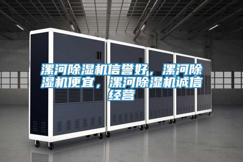 漯河除濕機(jī)信譽(yù)好，漯河除濕機(jī)便宜，漯河除濕機(jī)誠(chéng)信經(jīng)營(yíng)