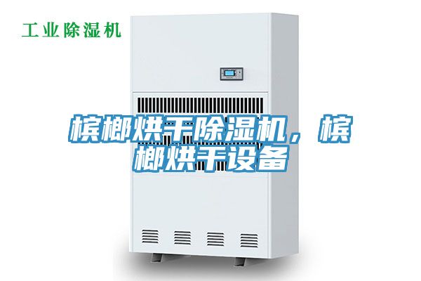 檳榔烘干除濕機，檳榔烘干設(shè)備