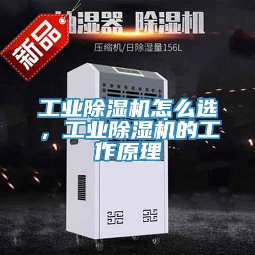 工業(yè)除濕機怎么選，工業(yè)除濕機的工作原理