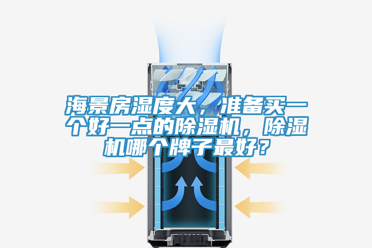 海景房濕度大，準備買一個好一點的除濕機，除濕機哪個牌子最好？