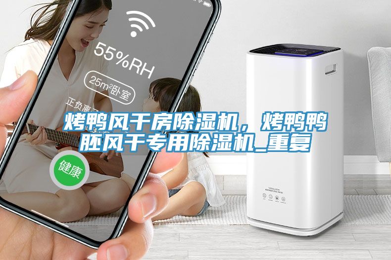 烤鴨風(fēng)干房除濕機(jī)，烤鴨鴨胚風(fēng)干專用除濕機(jī)_重復(fù)