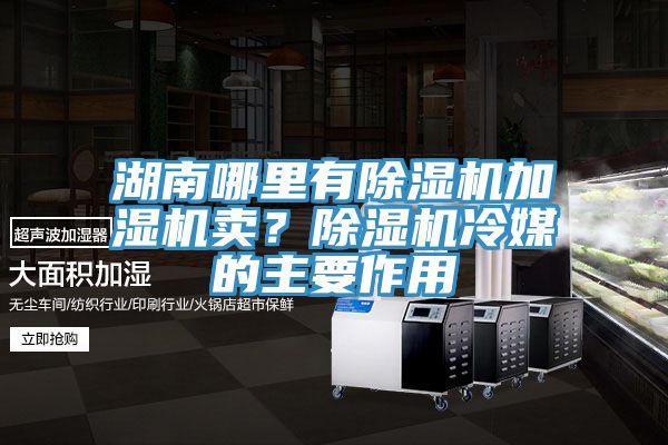 湖南哪里有除濕機(jī)加濕機(jī)賣？除濕機(jī)冷媒的主要作用