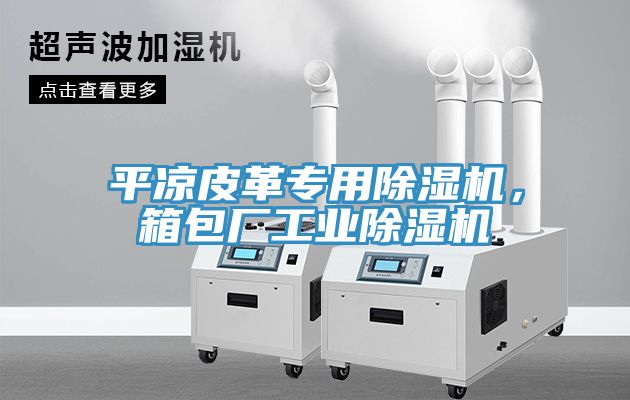 平?jīng)銎じ飳Ｓ贸凉駲C，箱包廠工業(yè)除濕機