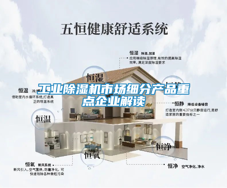 工業(yè)除濕機(jī)市場(chǎng)細(xì)分產(chǎn)品重點(diǎn)企業(yè)解讀