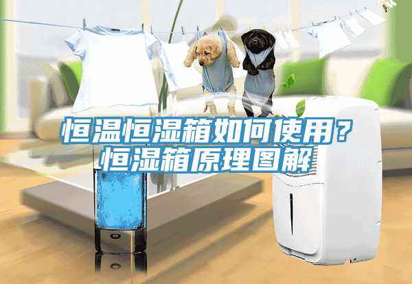 恒溫恒濕箱如何使用？恒濕箱原理圖解