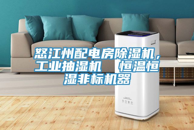怒江州配電房除濕機，工業(yè)抽濕機  恒溫恒濕非標機器