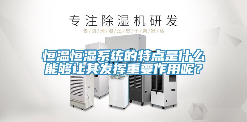 恒溫恒濕系統(tǒng)的特點是什么能夠讓其發(fā)揮重要作用呢？