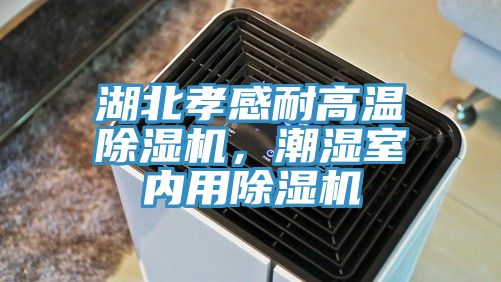 湖北孝感耐高溫除濕機(jī)，潮濕室內(nèi)用除濕機(jī)