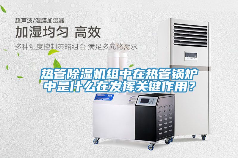 熱管除濕機(jī)組中在熱管鍋爐中是什么在發(fā)揮關(guān)鍵作用？