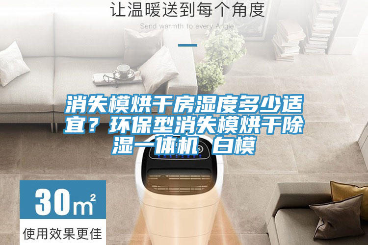 消失模烘干房濕度多少適宜？環(huán)保型消失模烘干除濕一體機(jī) 白模