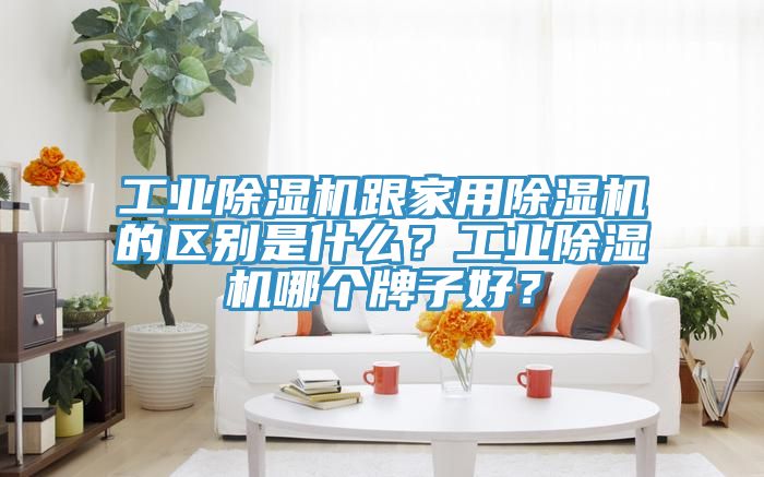 工業(yè)除濕機(jī)跟家用除濕機(jī)的區(qū)別是什么？工業(yè)除濕機(jī)哪個(gè)牌子好？