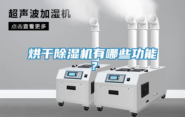 烘干除濕機有哪些功能？