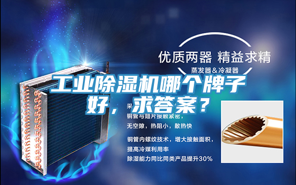 工業(yè)除濕機哪個牌子好，求答案？