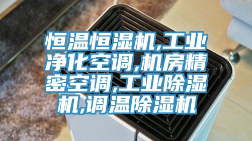 恒溫恒濕機,工業(yè)凈化空調,機房精密空調,工業(yè)除濕機,調溫除濕機