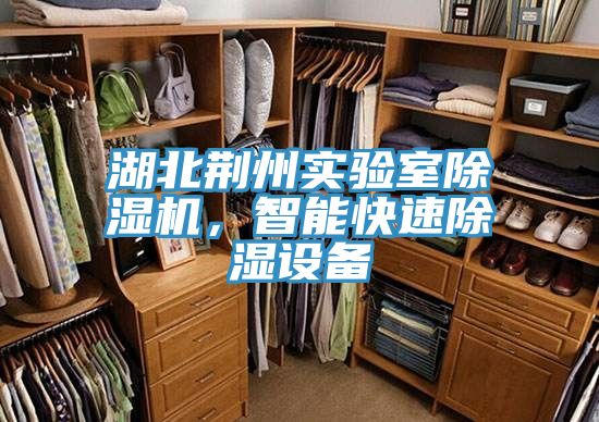 湖北荊州實驗室除濕機(jī)，智能快速除濕設(shè)備