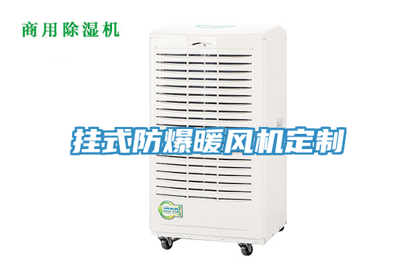 掛式防爆暖風(fēng)機定制