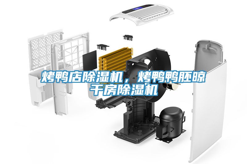 烤鴨店除濕機(jī)，烤鴨鴨胚晾干房除濕機(jī)