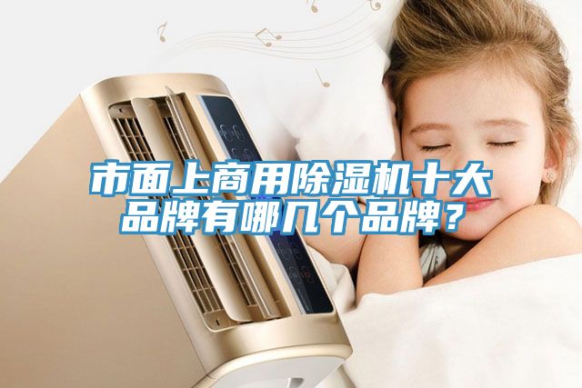 市面上商用除濕機(jī)十大品牌有哪幾個(gè)品牌？