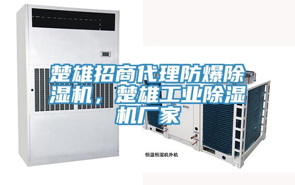 楚雄招商代理防爆除濕機，楚雄工業(yè)除濕機廠家