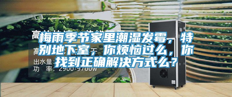 梅雨季節(jié)家里潮濕發(fā)霉，特別地下室，你煩惱過么，你找到正確解決方式么？