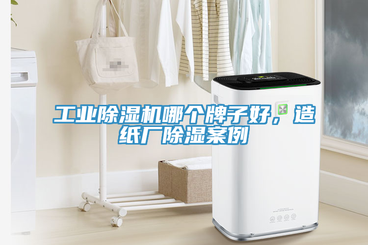 工業(yè)除濕機(jī)哪個牌子好，造紙廠除濕案例