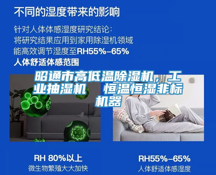 昭通市高低溫除濕機(jī)，工業(yè)抽濕機(jī)  恒溫恒濕非標(biāo)機(jī)器