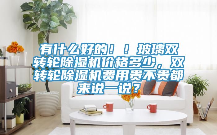 有什么好的?。〔Ａщp轉(zhuǎn)輪除濕機價格多少，雙轉(zhuǎn)輪除濕機費用貴不貴都來說一說？