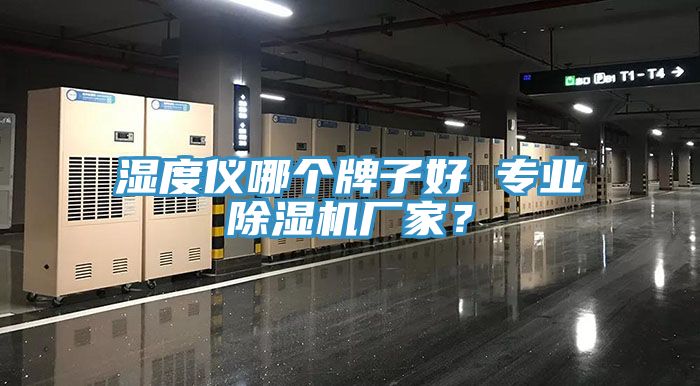 濕度儀哪個牌子好 專業(yè)除濕機廠家？
