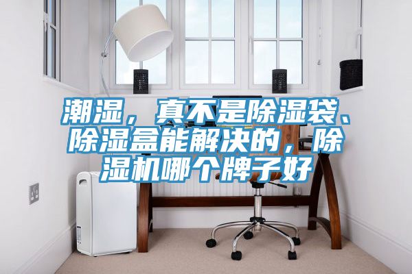 潮濕，真不是除濕袋、除濕盒能解決的，除濕機哪個牌子好