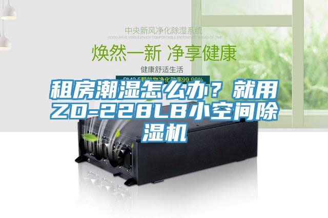 租房潮濕怎么辦？就用ZD-228LB小空間除濕機(jī)