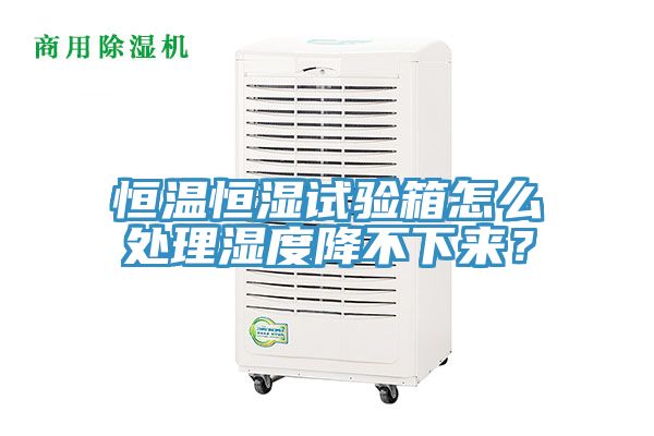 恒溫恒濕試驗(yàn)箱怎么處理濕度降不下來(lái)？