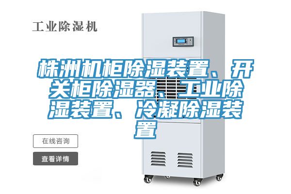 株洲機(jī)柜除濕裝置、開關(guān)柜除濕器、工業(yè)除濕裝置、冷凝除濕裝置