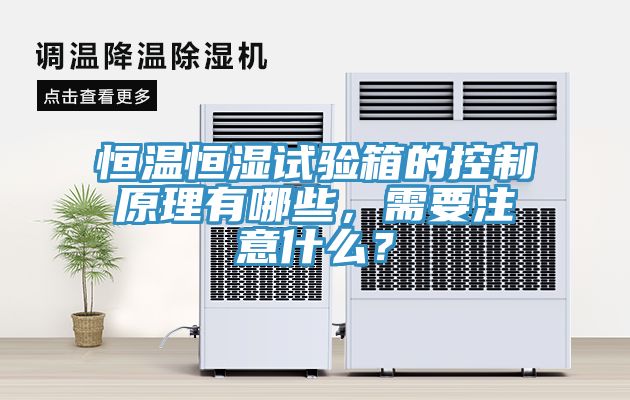 恒溫恒濕試驗箱的控制原理有哪些，需要注意什么？
