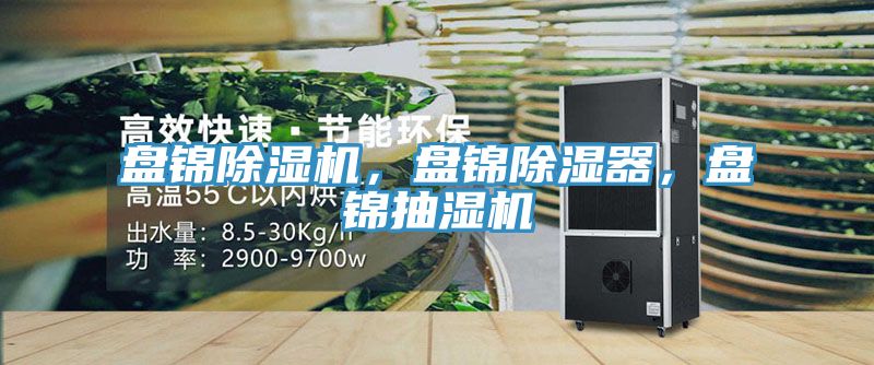 盤錦除濕機(jī)，盤錦除濕器，盤錦抽濕機(jī)