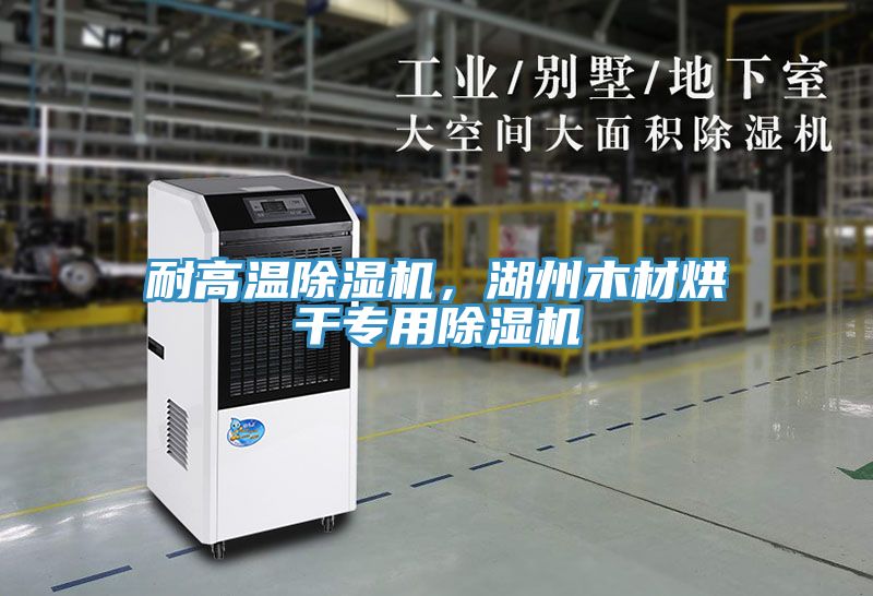 耐高溫除濕機，湖州木材烘干專用除濕機